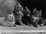 20120801182110-2.jpg