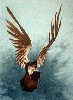 El_Colonel