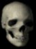 skullito